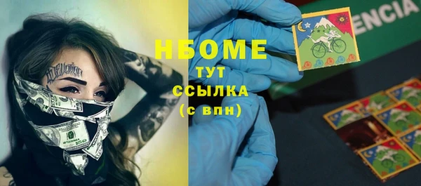 прущие грибы Белокуриха