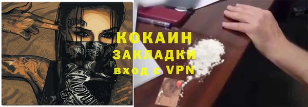 прущие грибы Белокуриха