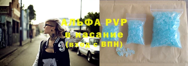 прущие грибы Белокуриха