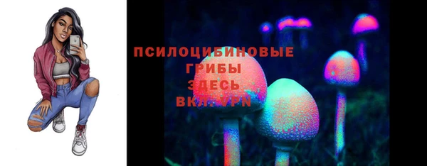 прущие грибы Белокуриха