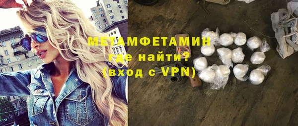 прущие грибы Белокуриха