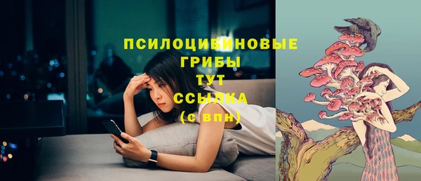 метадон Беломорск