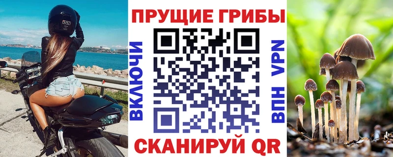 площадка формула  Павловск  Галлюциногенные грибы ЛСД  где купить наркотик 